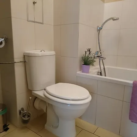Locativus Czysta Daire *