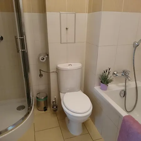 Apartment Locativus Czysta